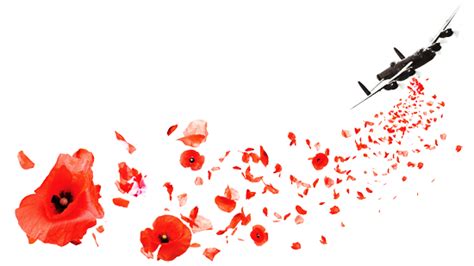 Anzac Day Lest We Forget Poppies Tattoo Remembrance Day Art Poppies