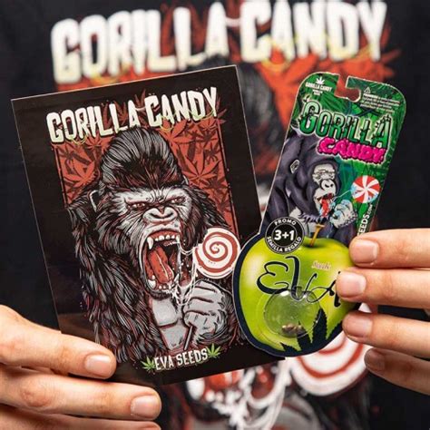 Adhesivo Gorilla Candy Merchandising Eva Seeds