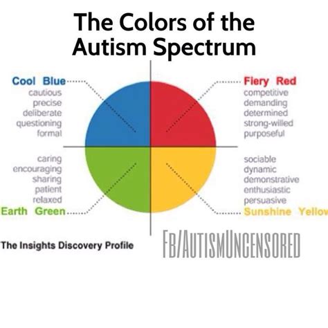 Autisme Kenmerken