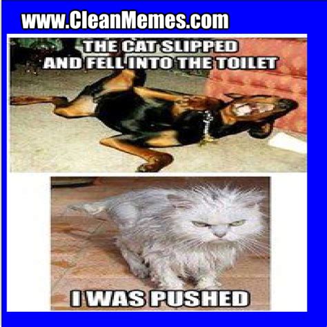 I Was Pushed Clean Memes