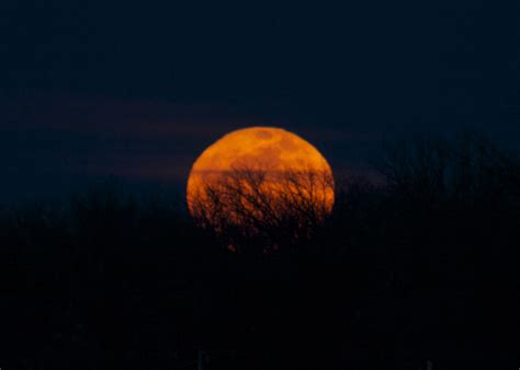 Its The Great Pumpkin A Big Orange Moon Rises February 25 2013