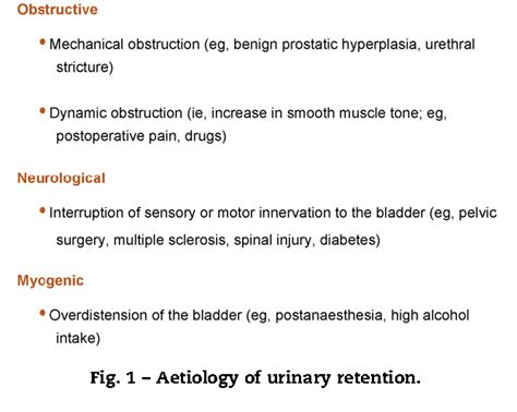 Pdf Management Of Acute And Chronic Retention In Men Semantic Scholar