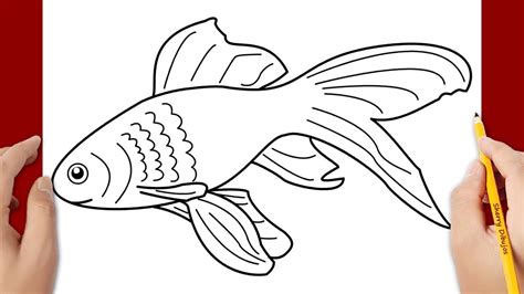 Ideas De Como Dibujar Un Pez Dibujar Pescados Como Dibujar Pdmrea