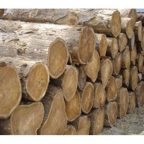 Round Teak Wood Log At Rs 1700cubic Feet Teak Wood Log In Chennai
