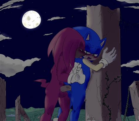 Rule 34 Against Wall Anal Anus Ass Balls Gay Knuckles The Echidna Penis Soina Sonic Series