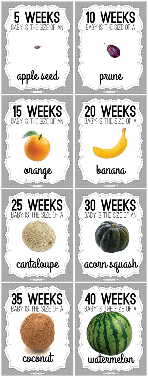 Each week of pregnancy includes a description of your baby's development, as well as an explanation of the changes taking place in your body. Pregnancy Fruit Free Printable week by week. So cute for ...