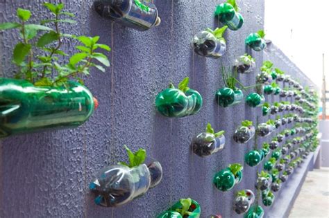 Spunky Urban Wall Garden Created From Recycled Plastic Soda Bottles