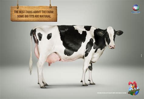 The Farm Cow • Ads Of The World™ Part Of The Clio Network