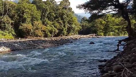 Kabupaten aceh tenggara tepat nya kutacane berada di daerah pegunungan dengan ketinggian 1000 meter sungai alas ini nih banyak banget diminati oleh orang luar. 11+ Tempat Wisata di Kutacane Yang Direkomendasikan Untuk Dikunjungi!! - PIKNIKTODAY.COM