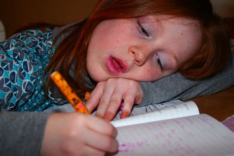 Homework Indi Concentrating On Her Homework Anthony Kelly Flickr