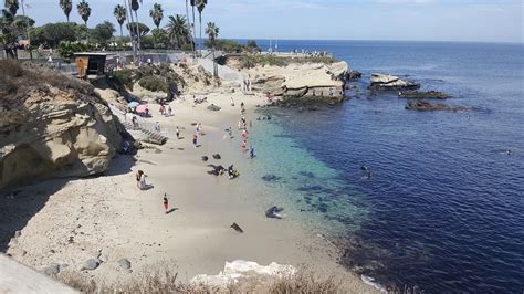 La Jolla Best Kid Friendly Beach In California Travelingmom