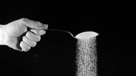 Study Reveals How Organisms Distinguish Between Real Sugar Artificial
