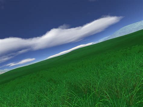 Green Fields 3d Screensaver Discover The True Meaning Of Freedom