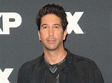 David Schwimmer Claims He Tried For Years To Introduce Women Of Color ...