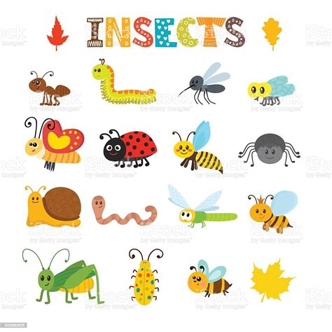 Vector Set Of Cartoon Insects Colorful Bugs Collection Stock