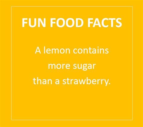 Fun Food Facts Homestyle Direct