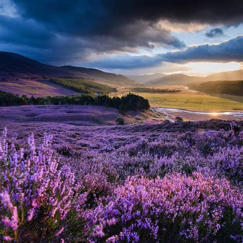 The Scottish Moors Scotland Landscape Cairngorms National Park