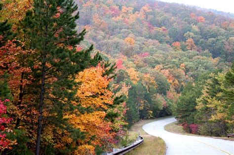 12 Fall Drives Where You Can See Colorful Foliage This Season