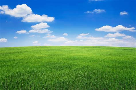 Grass Field Stock Photos Images And Backgrounds For Free Download