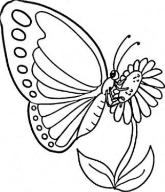 Daftar nama bunga, gambar bunga cantik, indah, unik, dan langka, lengkap dengan penjelasannya. Gambar Bunga Kartun Hitam Putih dan Kupu-kupu | Kartun, Kupu-kupu, Gambar