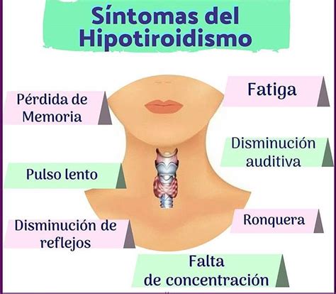 Hipotiroidismo S Ntomas Prevenci N Y Tratamiento