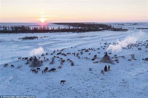 View From Above An Aerial Shot Of The Reindeer Herd And The Nenets