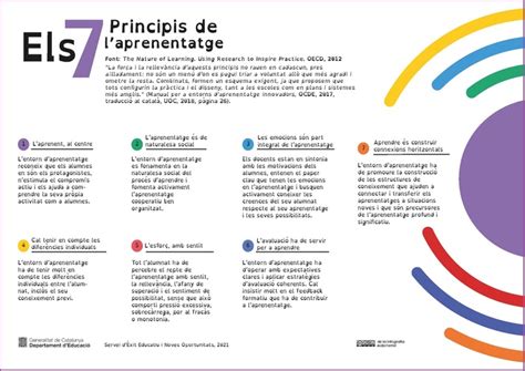 Infografia Els 7 Principis De Laprenentatge Recursos Recomanats