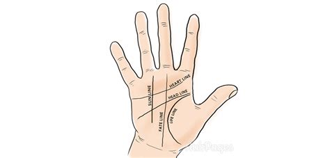 What Do The Lines On Your Palm Mean 5 Lines Explained Exemplore