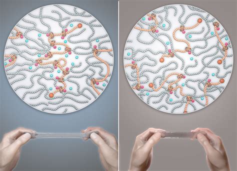 Improving The Mechanical Properties Of Polymer Gels Through Molecular