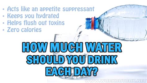How Much Water Should You Drink Each Day Fitness Workouts And Exercises