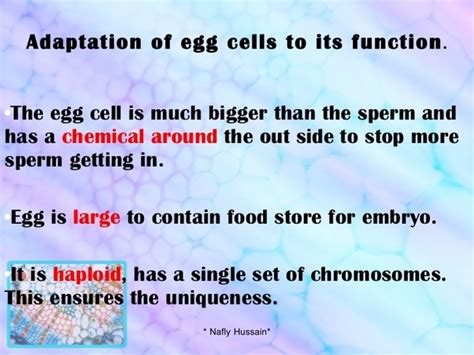 Animal and plant cells have certain structures in common. How do egg cells adapt to their function? - Quora