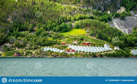 Norwegian Agricultural Farm With Greenhouses On The Hill At Naeroy