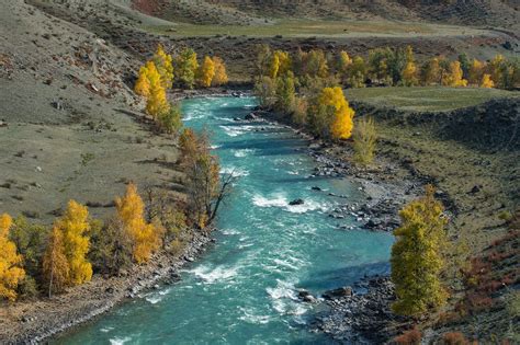 Green River Landscape Nature River Trees Hd Wallpaper Wallpaper Flare