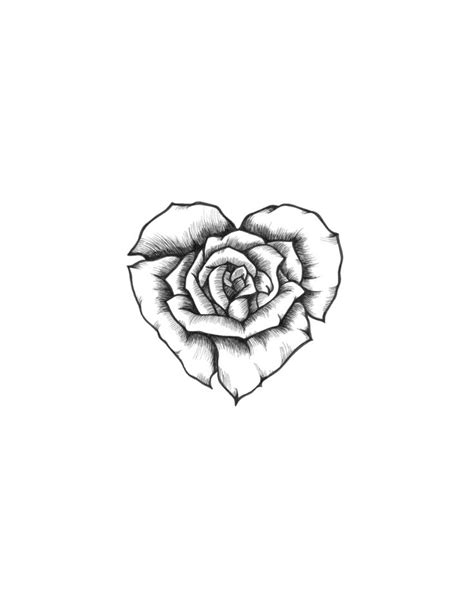 Small Rose Drawing At Getdrawings Free Download