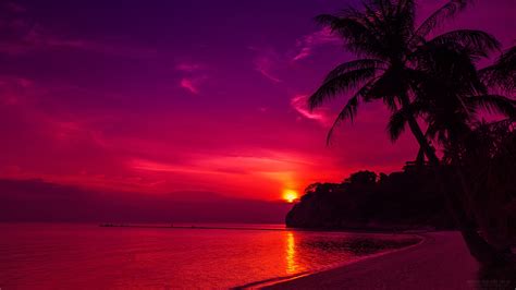 Pink Beach Sunset Wallpaper 72 Images