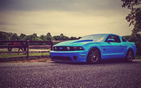 Blue Ford Mustang Ford Mustang Blue Cars Car Hd Wallpaper