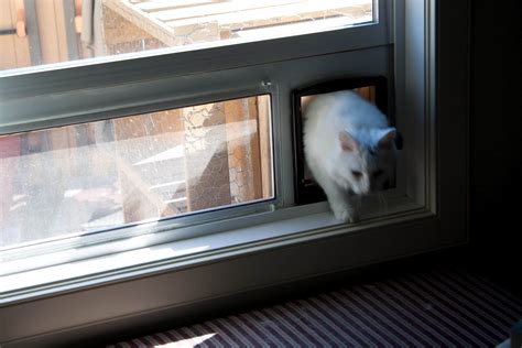Window cat door inserts can be installed in minutes and are completely removable with no muss or fuss. Cat Door Insert For Sliding Window | Sliding Doors