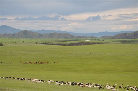 Moilt Ecolodge, Bulgan, Mongolia: ЦОМОГ