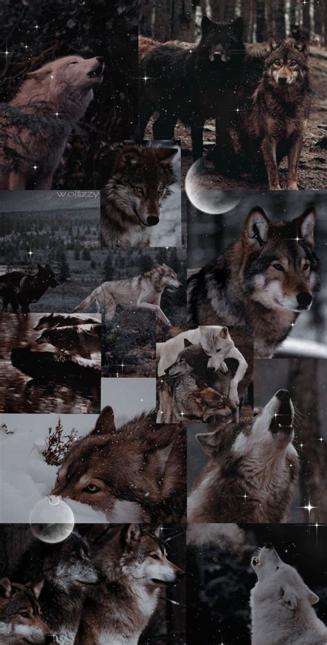Wallpaper Papel De Parede Aesthetic Lobo Wolf Abo Omegaverse Lobo