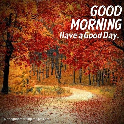 Beautiful Good Morning Fall Images Pictures And Photos 2023