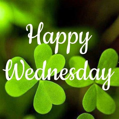 Happy Wednesday Pictures Wednesday Morning Quotes Wednesday Hump Day
