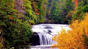 Waterfall, Stream, On, Rock, Between, Autumn, Fall, Green, Red