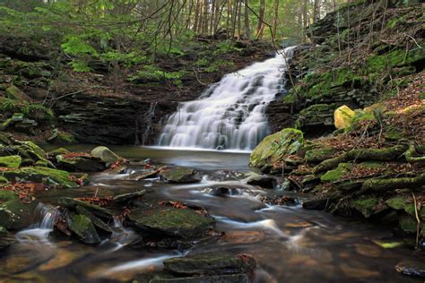 Image Libre Eau Rivière Forêt Humide Ruisseau Cascade Moss