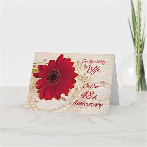 Wife On 48th Wedding Anniversary A Daisy Flower Holiday Card