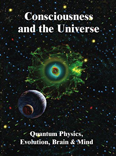 Consciousness And The Universe Quantum Physics Evolution Brain