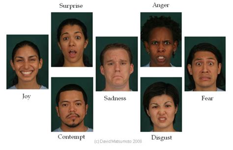 seven basic emotions reading facial expression humintell