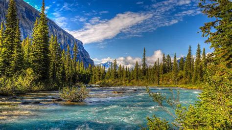 Скачать обои река Канада деревья природа горы Mount Robson