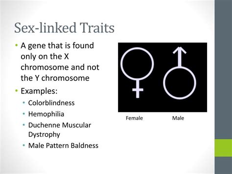 ppt adva nced genetics multiple alleles and sex linked traits powerpoint presentation id 2121775