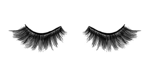 Eyelashes Png For Photoshop Png Image Collection