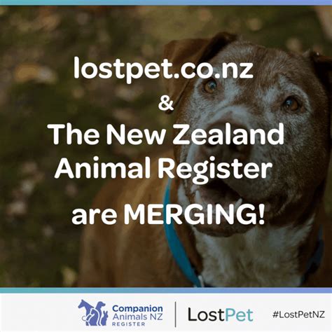 News — Companion Animals New Zealand